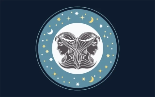 쌍둥이자리(5월21일~6월21일)