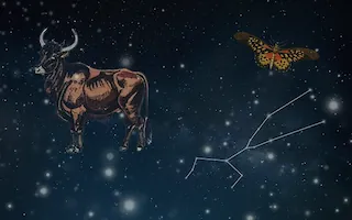 황소자리(4월20일~5월20일)