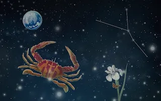 게자리(6월22일~7월22일)