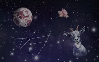 염소자리(12월25일~1월19일)