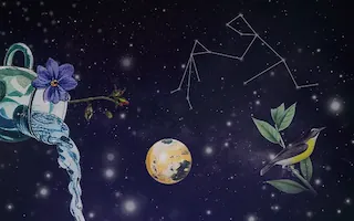 물병자리(1월20일~2월18일)