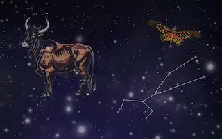 황소자리(4월20일~5월20일)