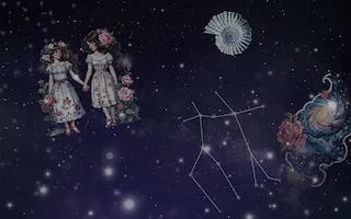 쌍둥이자리(5월21일~6월21일)