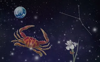 게자리(6월22일~7월22일)